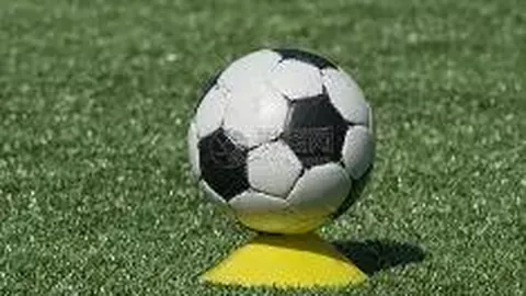 泰达1比0胜人和，保级前景愈发艰难