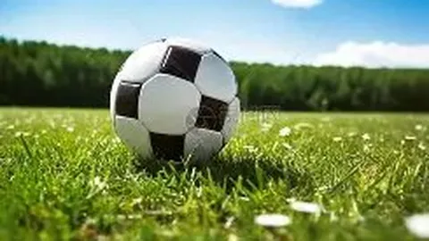 球盟会 资讯 100057 nmg